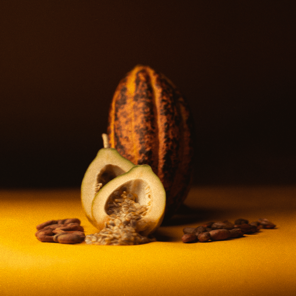 Cacao pod and beans on a dark background