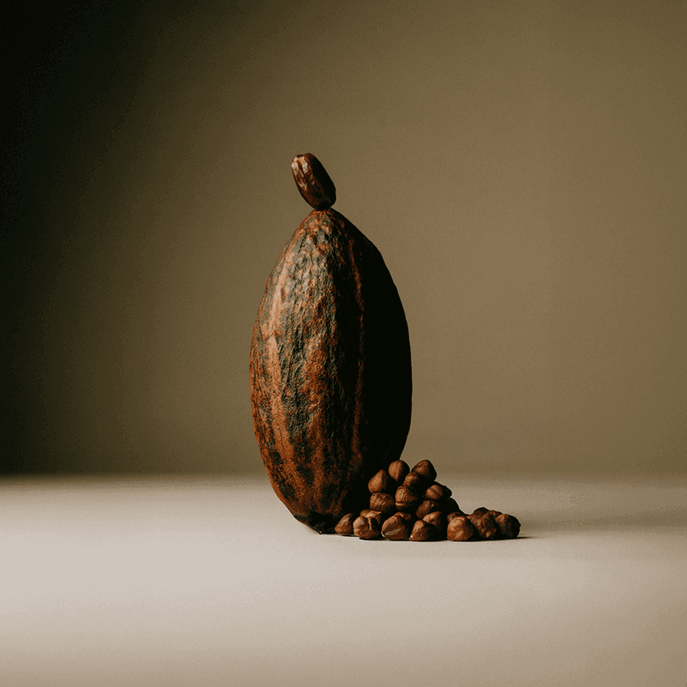 Roasted Hazelnut - The Conscious Bar