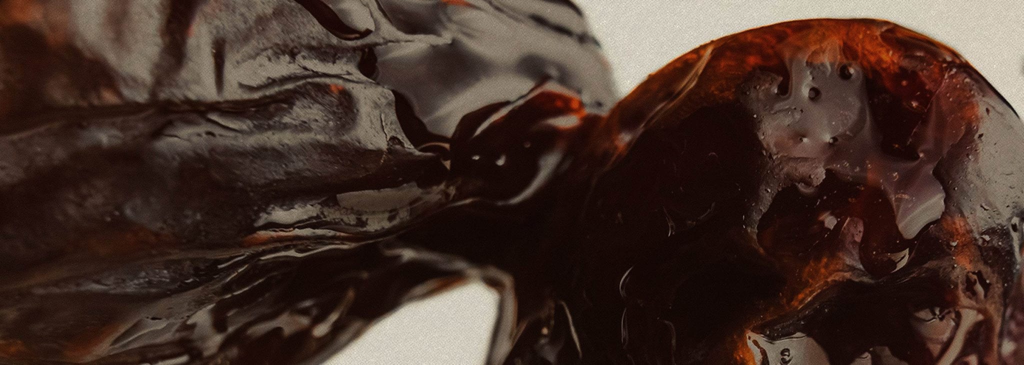 about_the_science_dates_nature_s_candy_B - The Conscious Bar