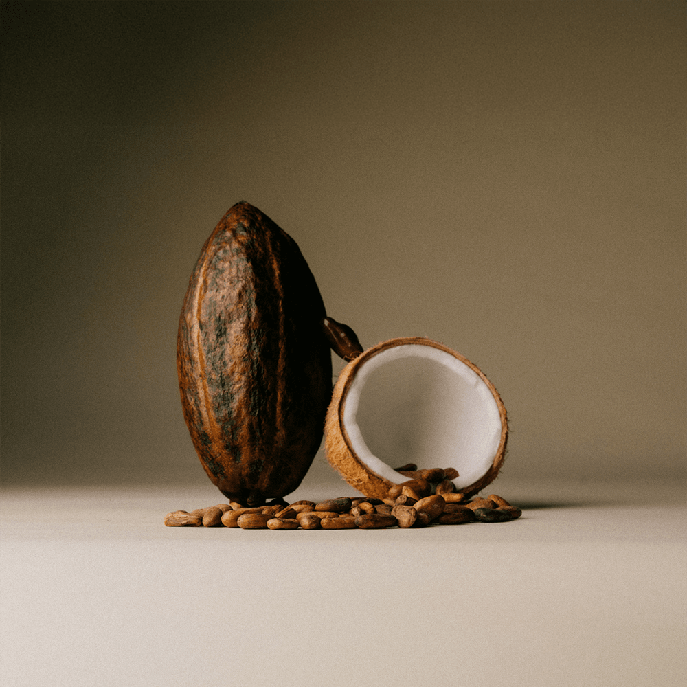 Toasted Coconut Flakes - The Conscious Bar