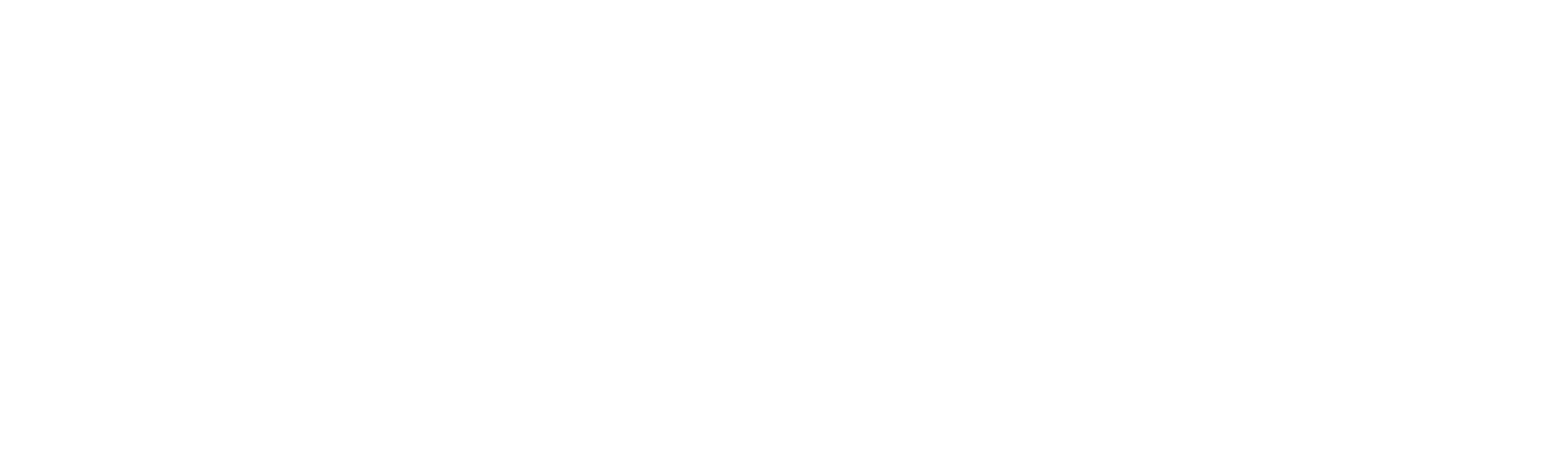 The Conscious Bar Co