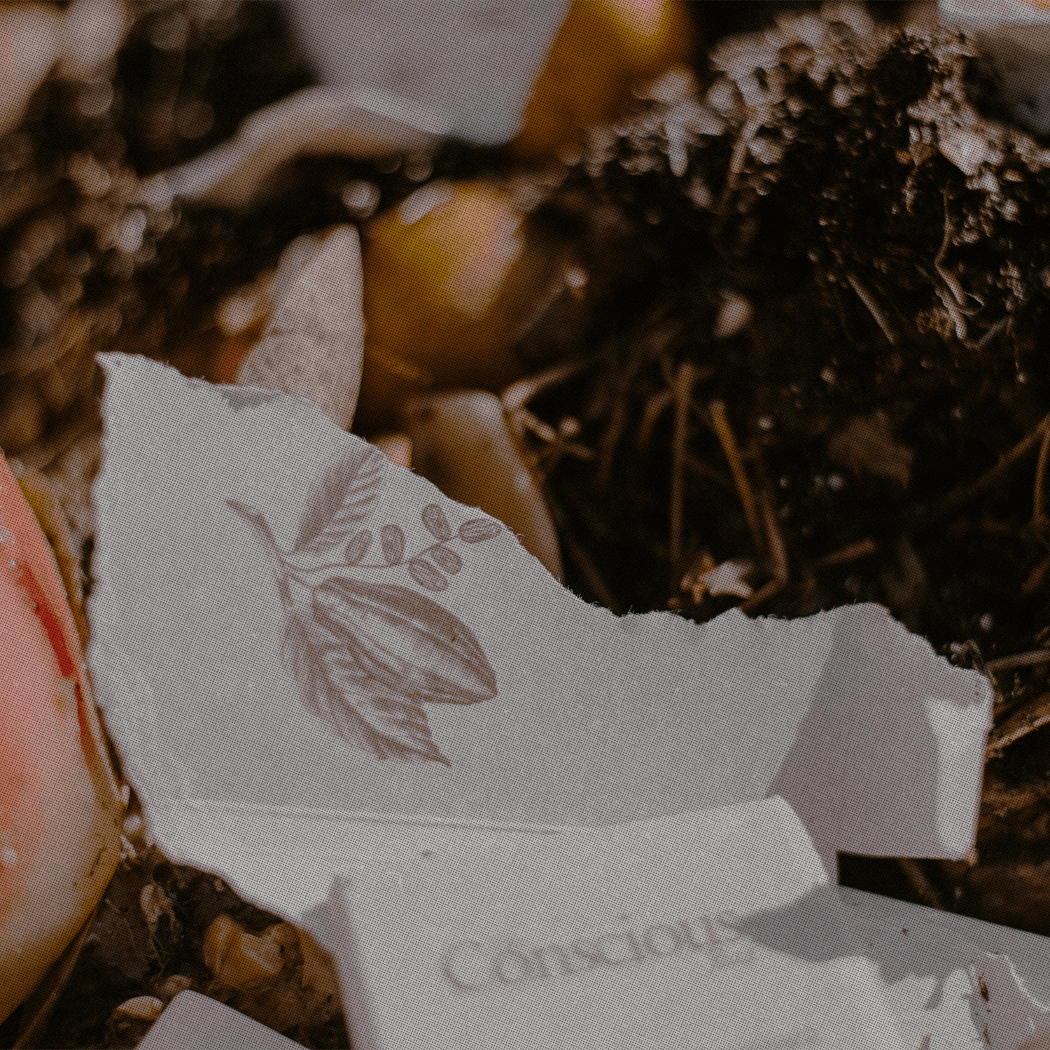 about_sustainability_02_04415583-32fd-43c0-a692-e2166c52e80b - The Conscious Bar